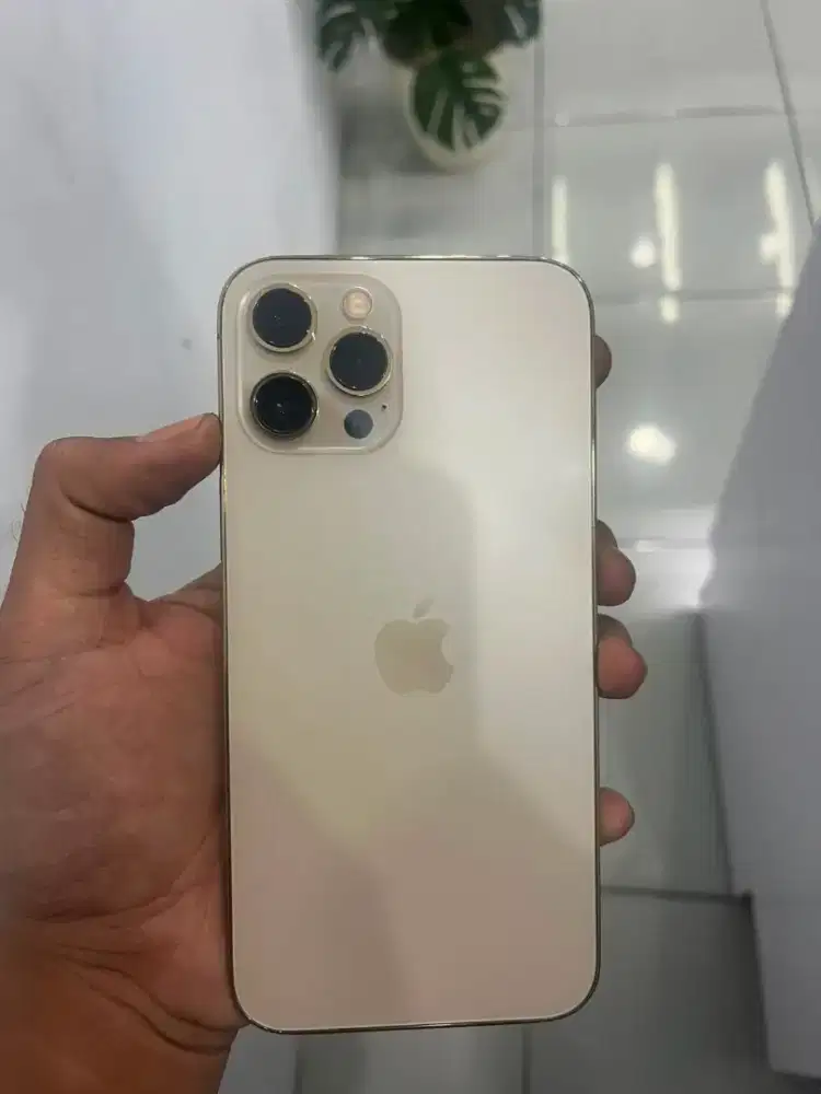 Iphone 13 promax 256