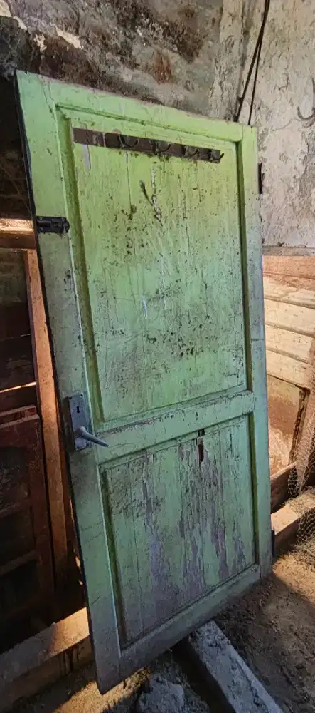 Daun pintu rumah