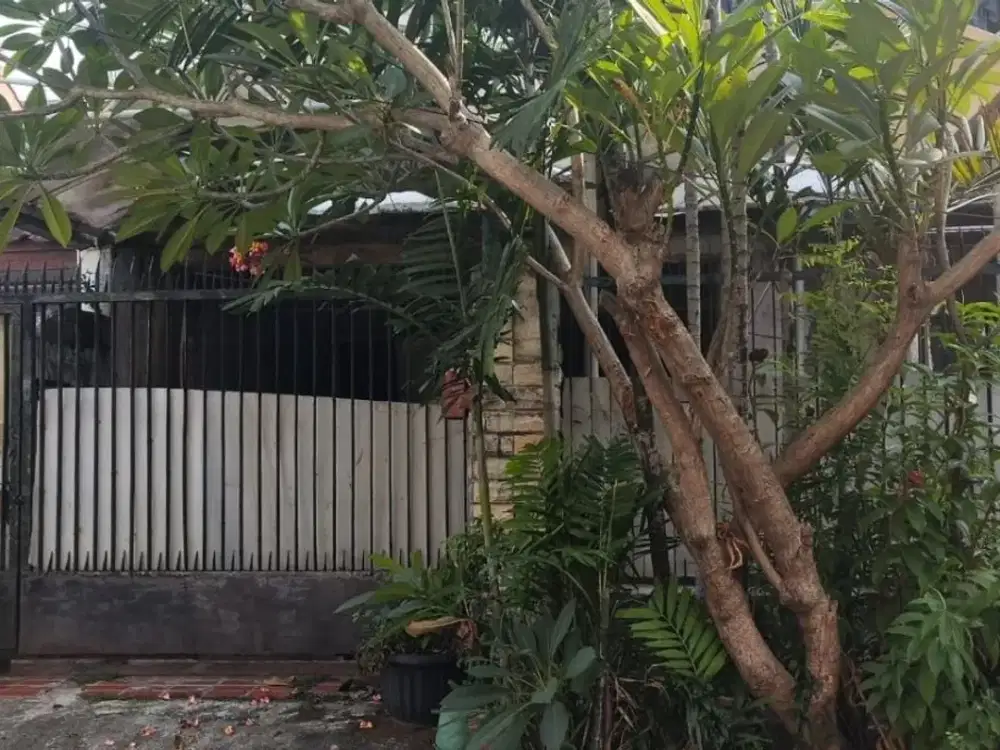 Rumah Standard Pulomas 9X18 Strategis Jalan 2 Mobil Hrg Menarik Dalam Komplek