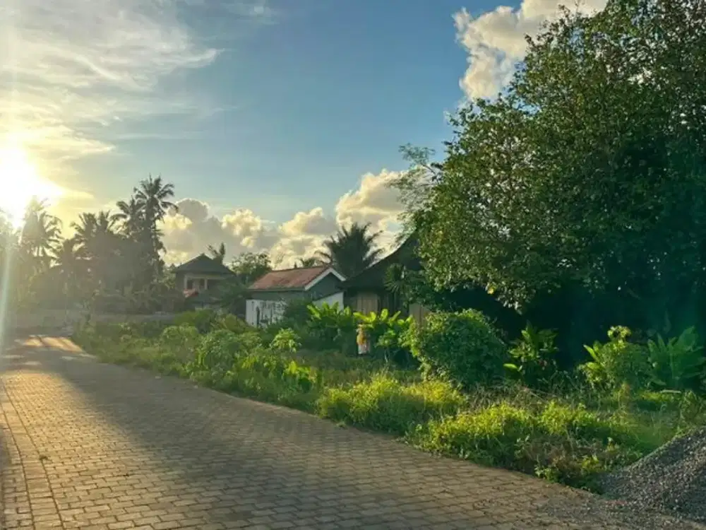 TANAH VIEW SAWAH DI RAYA TUNON SINGAKERTA UBUD GIANYAR - Thumbnail 4