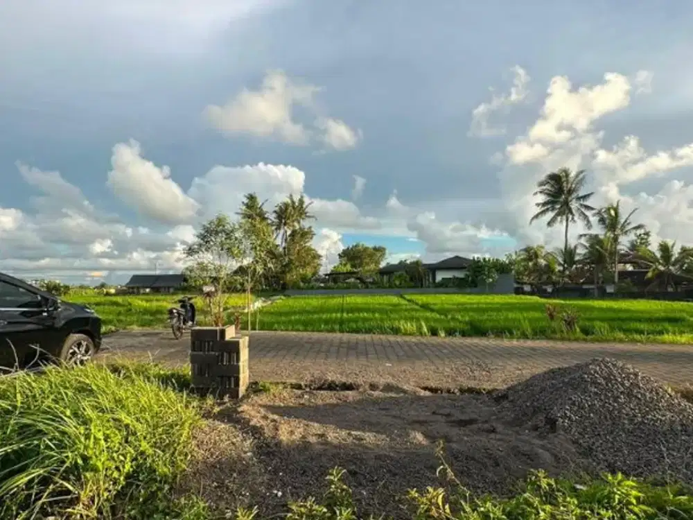 TANAH VIEW SAWAH DI RAYA TUNON SINGAKERTA UBUD GIANYAR - Thumbnail 2