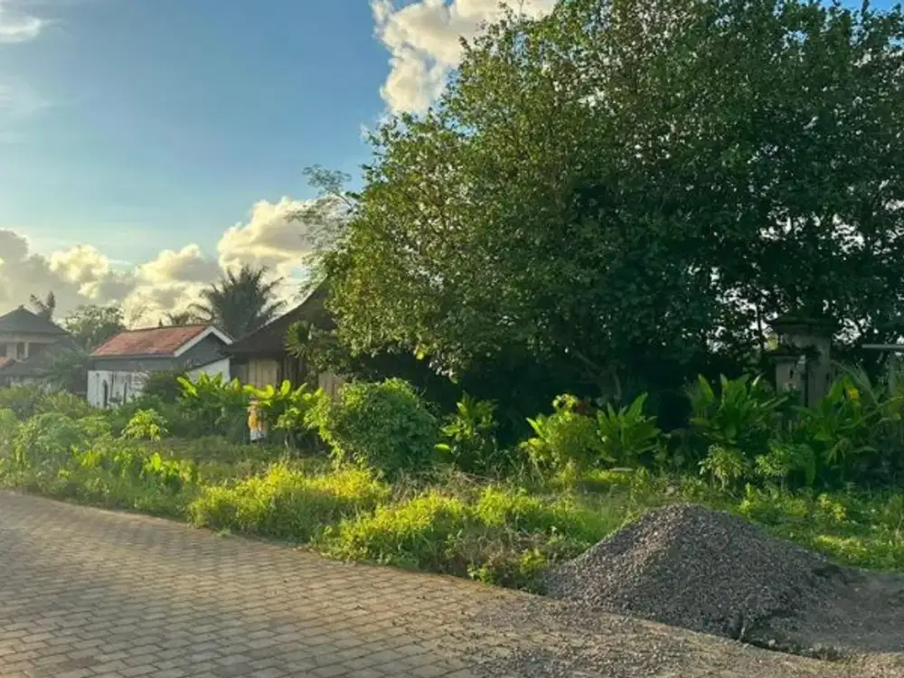TANAH VIEW SAWAH DI RAYA TUNON SINGAKERTA UBUD GIANYAR - Thumbnail 5