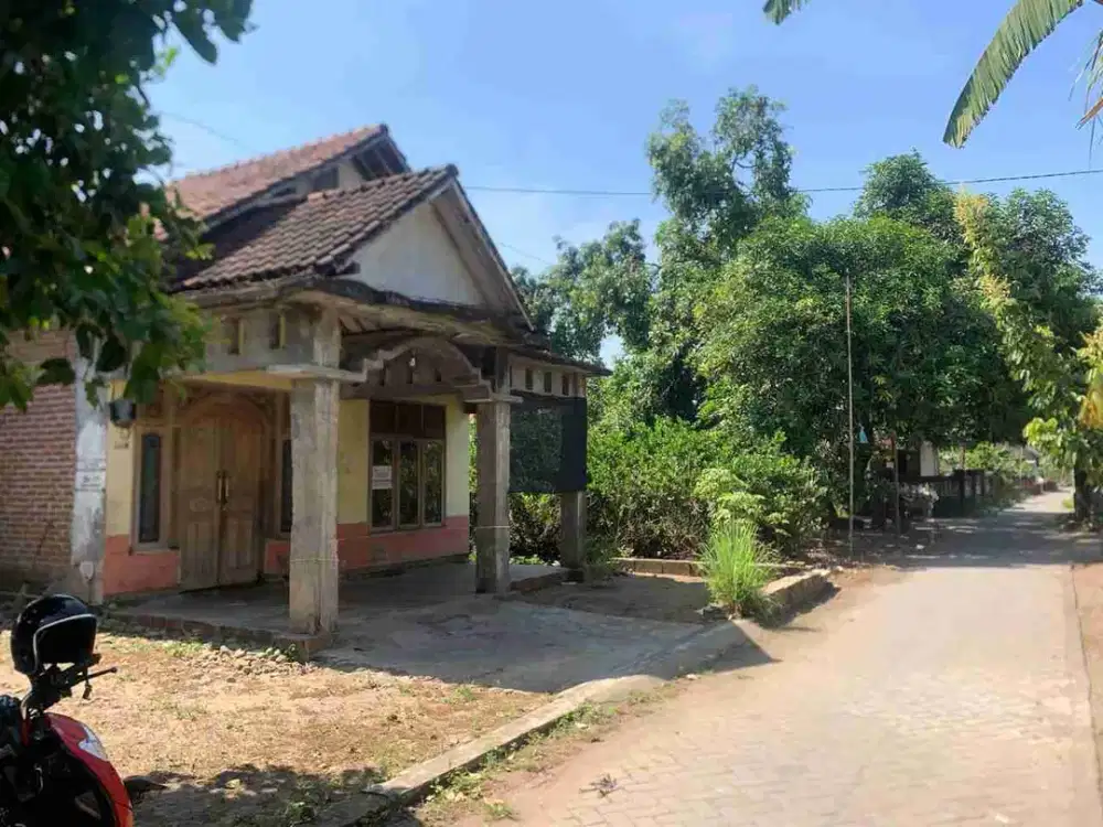 DI JUAL RUMAH 

KEL. : BEGENDENG
KEC. : JATIKALEN
KAB  : NGANJUK