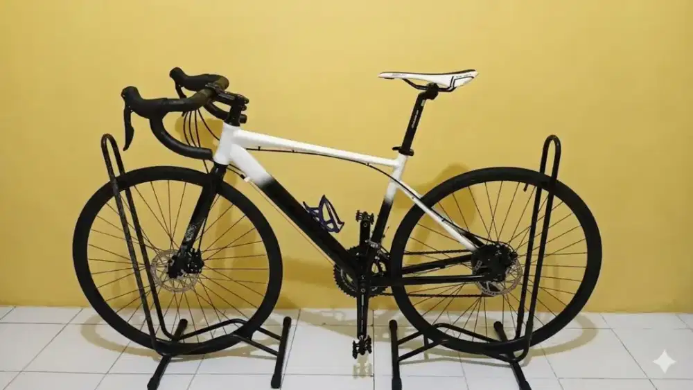 roadbike celcius custom mulus