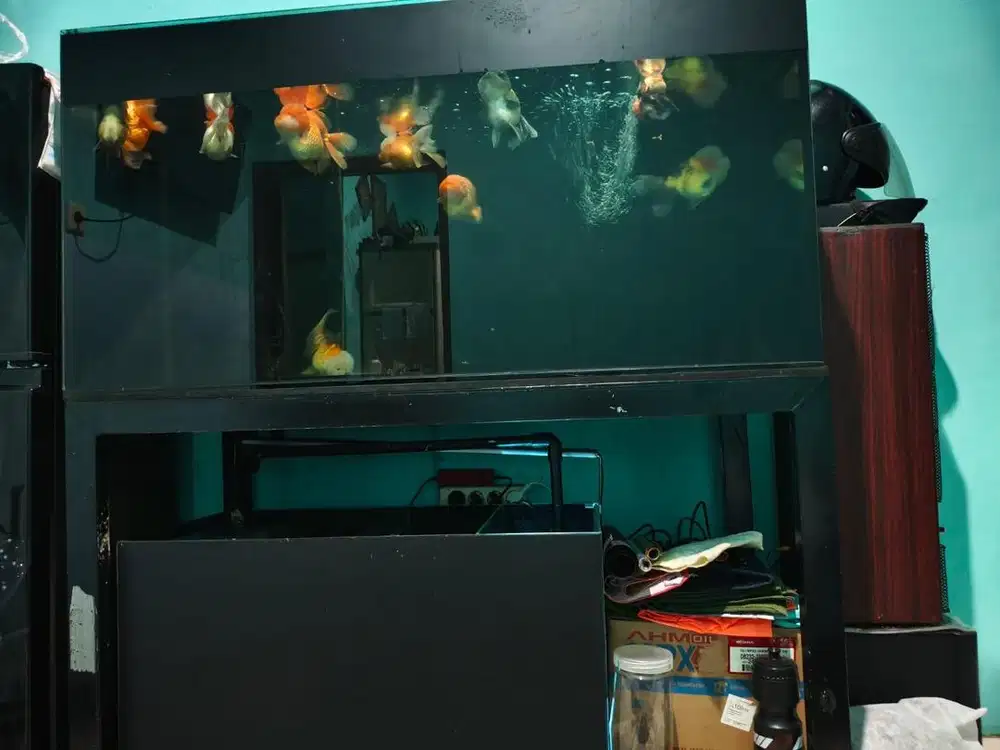 Aquarium ukuran 60x60x120