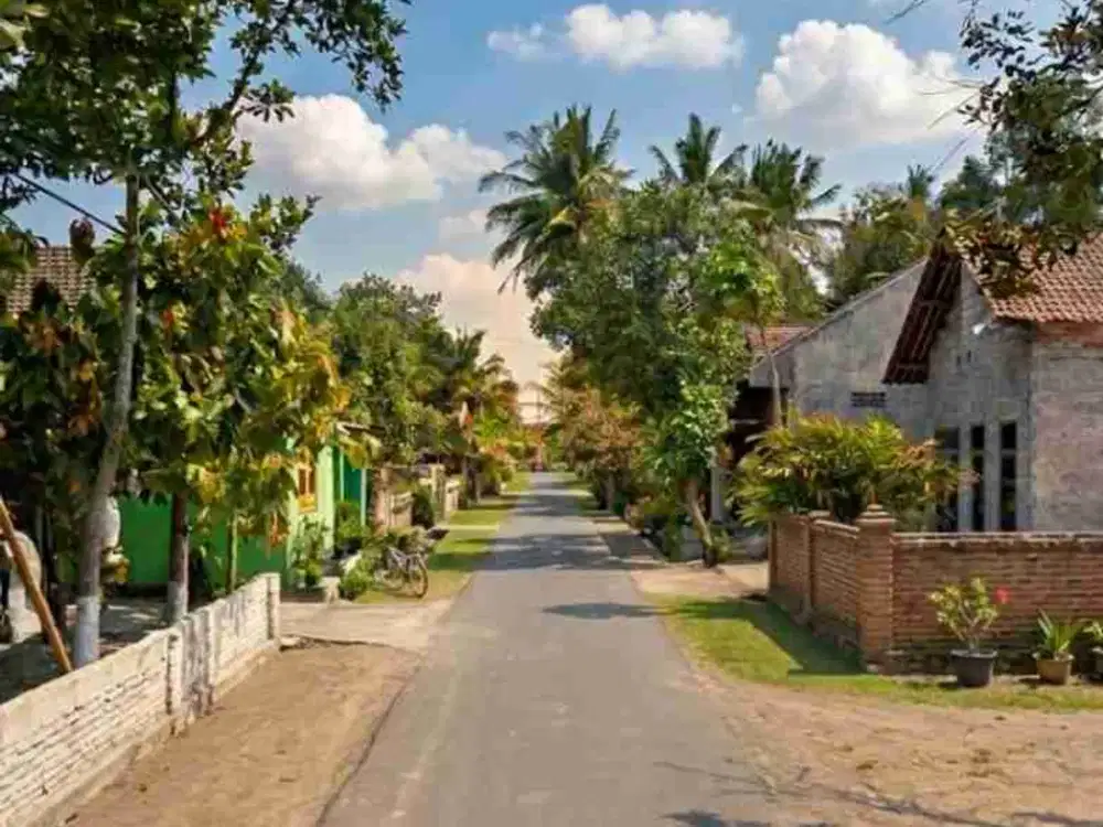 JUAL MURAH TANAH PIKATAN WONODADI BLITAR