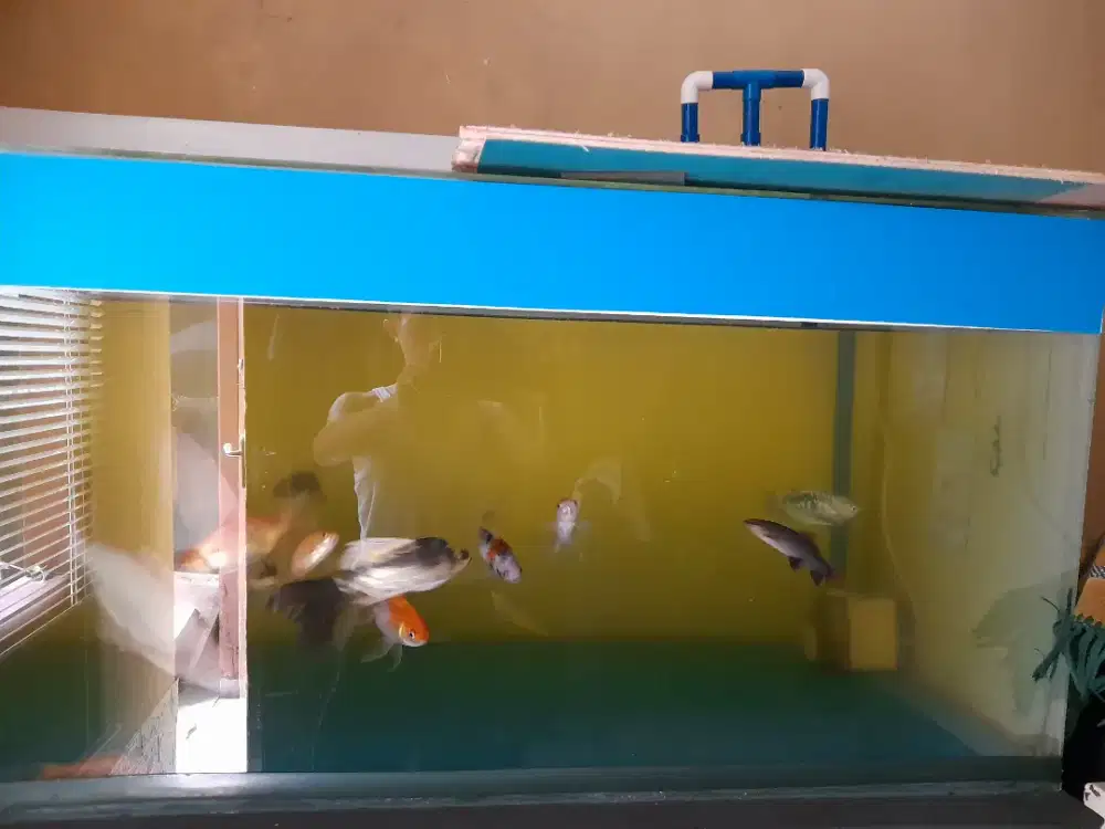 Jual aquarium 120x60