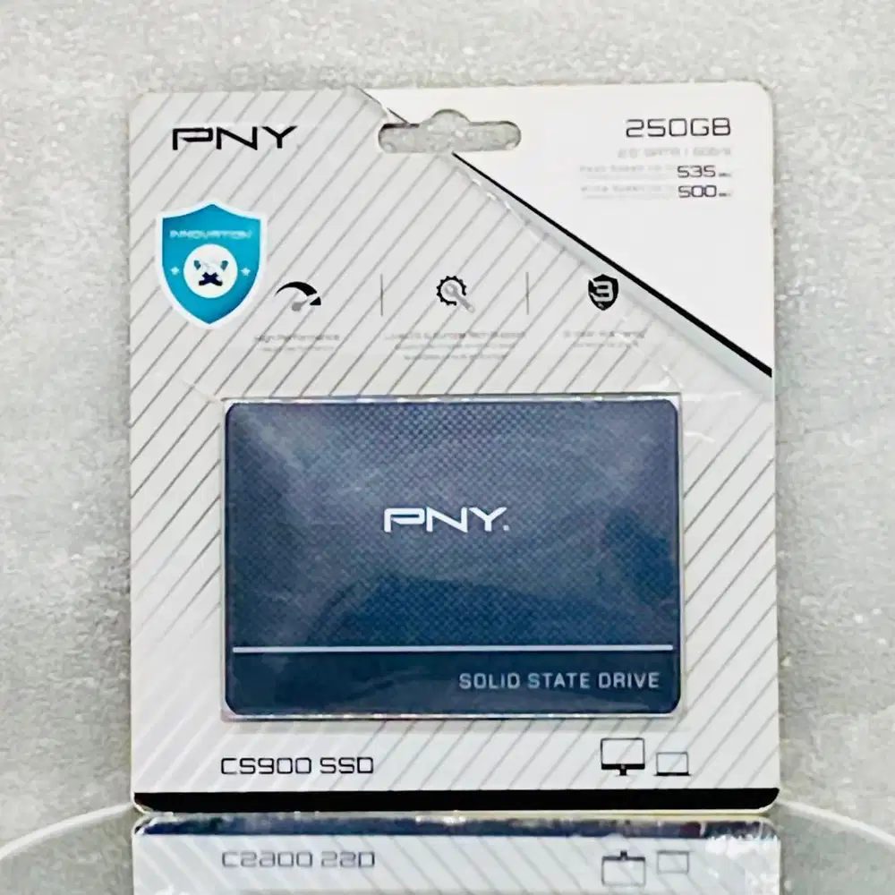SSD PNY USA 250GB GARANSI RESMI 3 TAHUN 2.5 INCH SATA 3 6GB/S