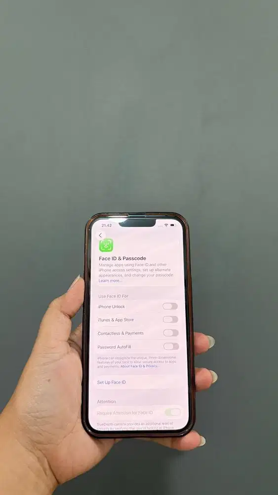 iPhone 13 BLUE 128GB RESMI INDO