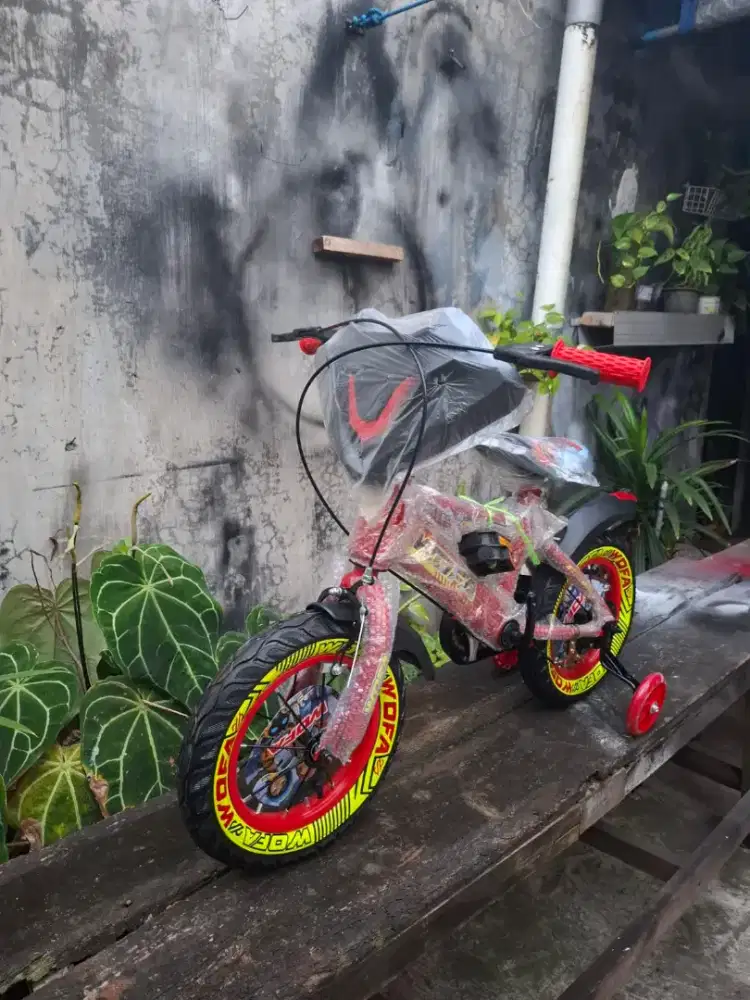 Sepeda anak uk 12