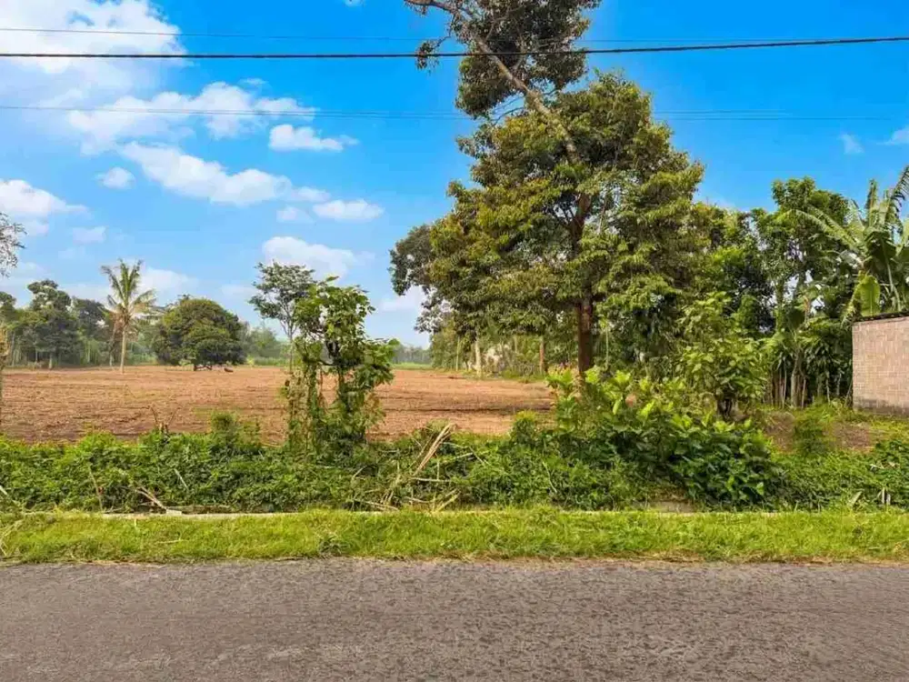 JUAL TANAH PERKEBUNAN NGANCAR KEDIRI
