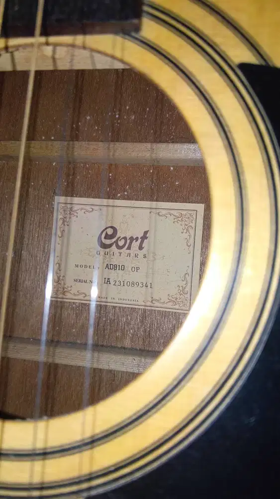JUAL GITAR CORT ORIGINAL AD810 OP
