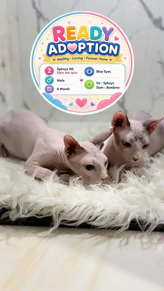 Sphnyx NS Upin dan Ipin
