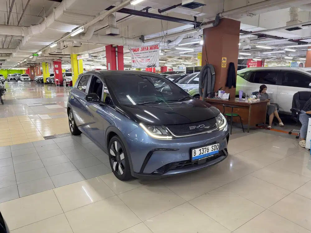Byd Dolphin Premium Ev 2023
