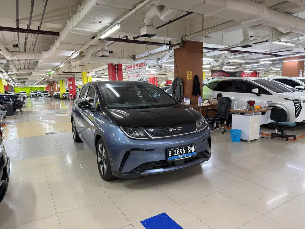 Byd Dolphin Premium Ev 2023