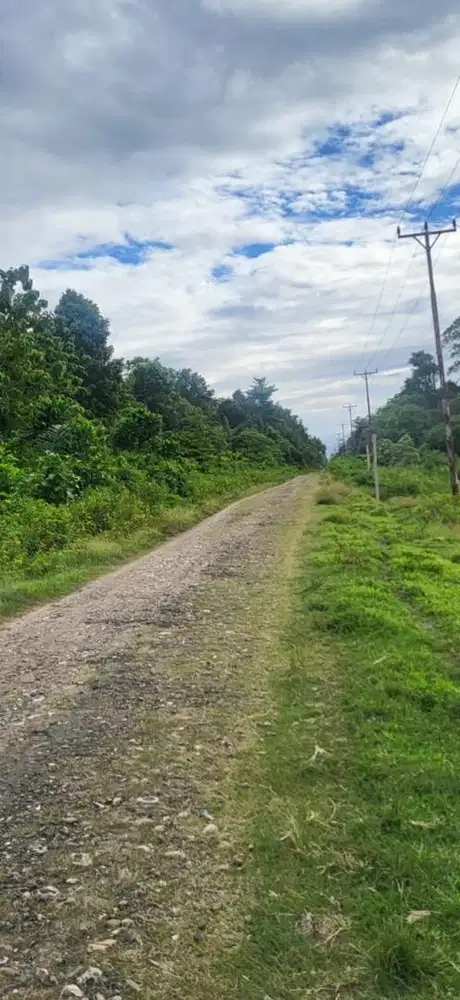 Tanah Perkebunan