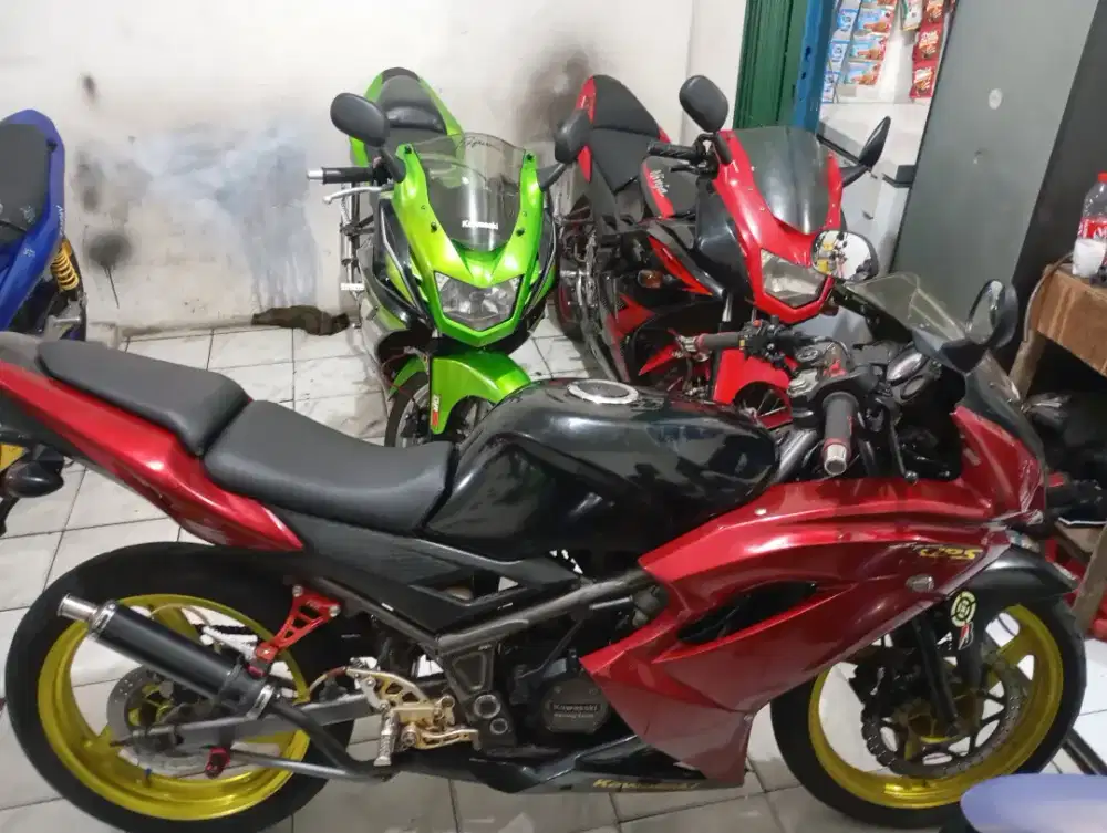 Penggiat Kawasaki ninja