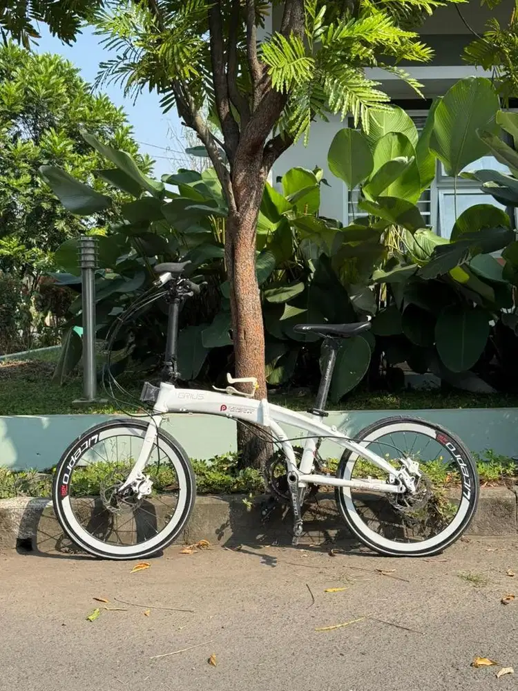 Sepeda Lipat Litepro Crius Master Disc Brake