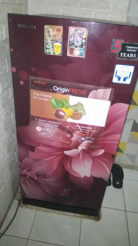 Jual butuh kulkas toshiba 1 pintu