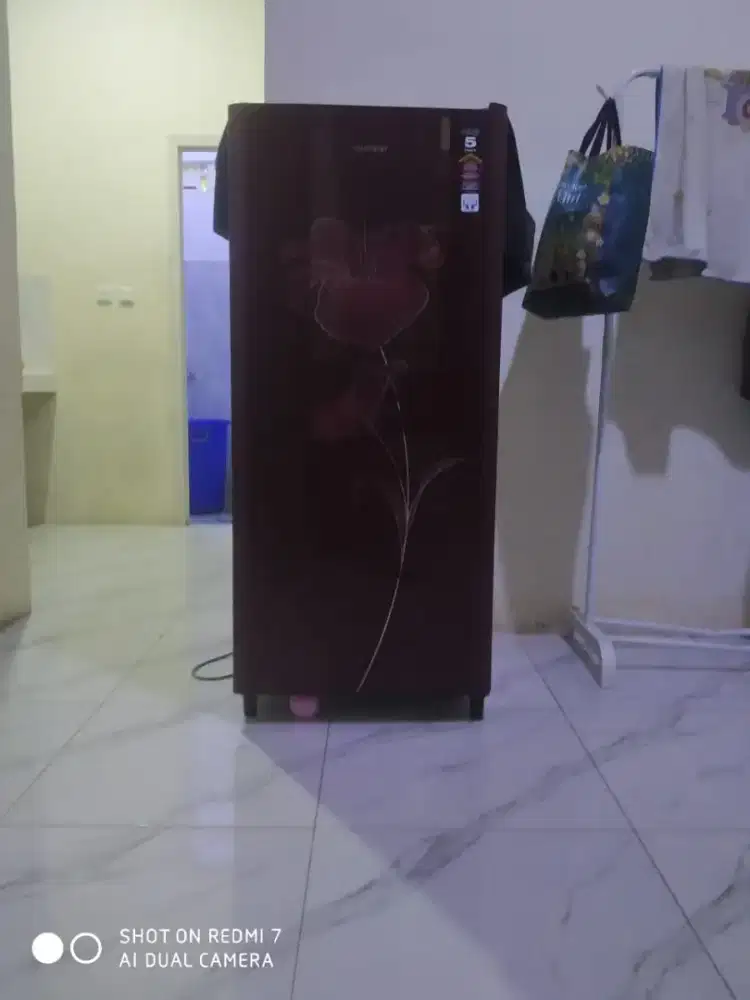 Kulkas Polytron 1 pintu