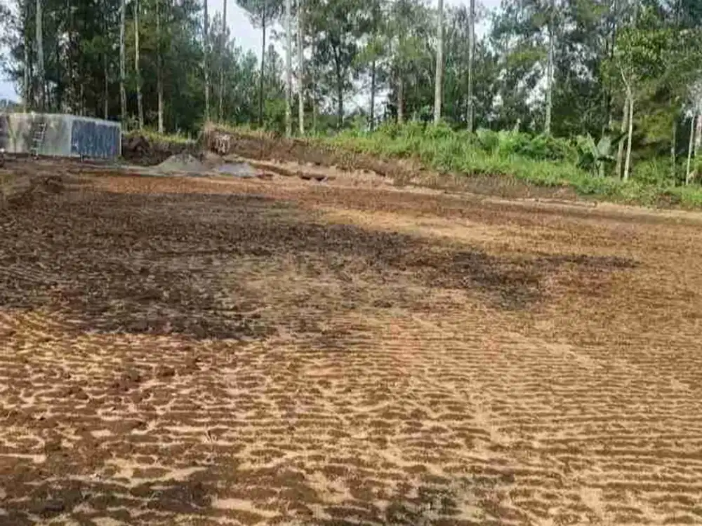 Tanah Kebun