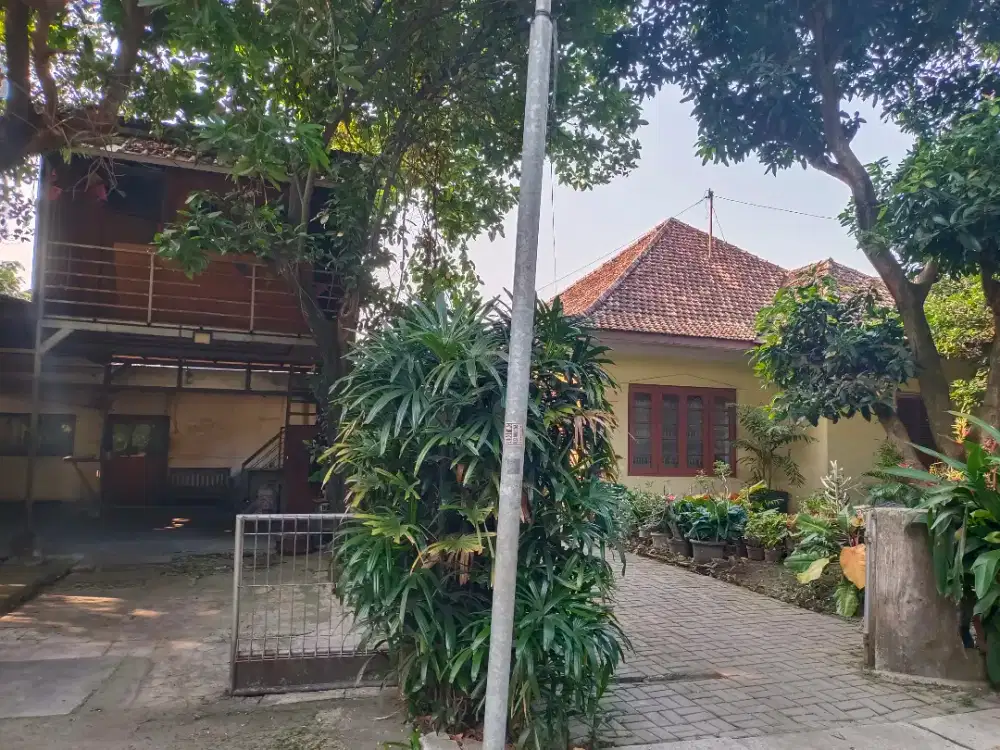 Disewakan Tanah beserta bangunan
