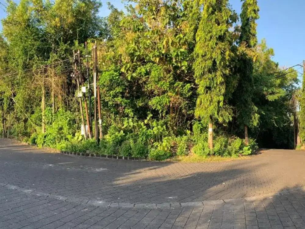 TANAH LAHAN PREMIUM PINGGIR JALAN DI KARANG MAS JIMBARAN BADUNG