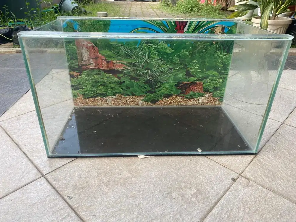 Akuarium Kaca 50 cm siap pakai