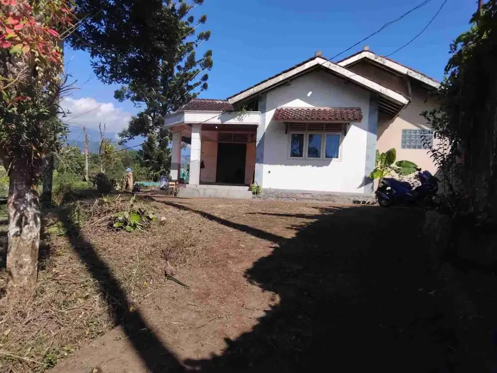 Di jual villa dan tanah kosong di bawah harga pasaran .lokasi sangat strategis dekat taman bunga nusantara ci panas.sangat cocok untuk villa keluarga dan komersial .