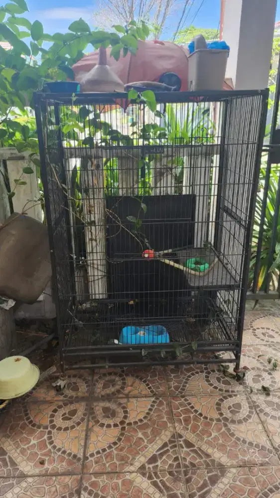 KANDANG KUCING tinggi kurleb 2m