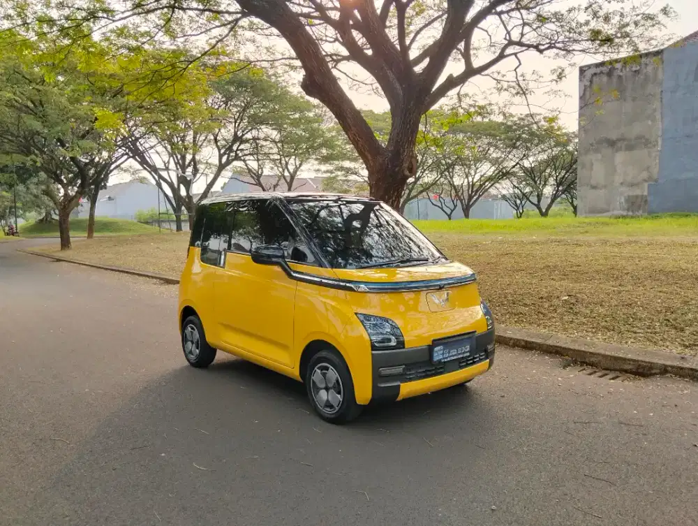 air ev pro 300KM - odo 24rb ORI !
