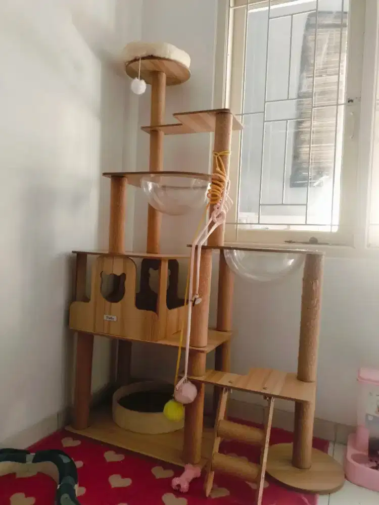 PAPI PET MENARA KUCING