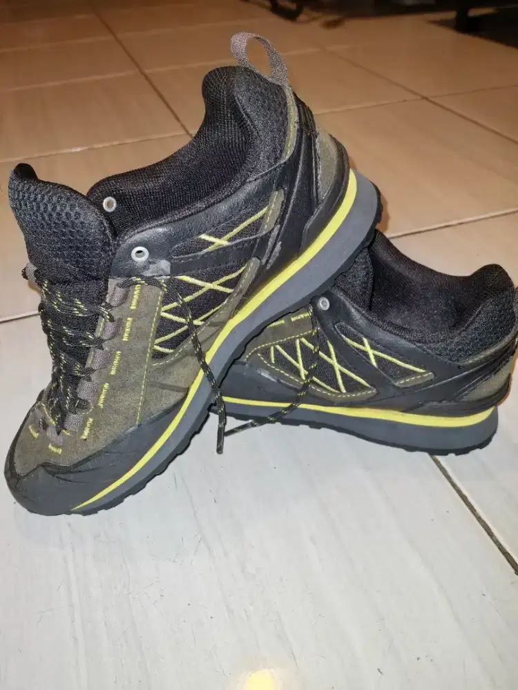 Nepa Mareta uk 40