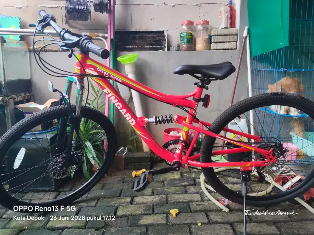 MTB fingard dual x80d