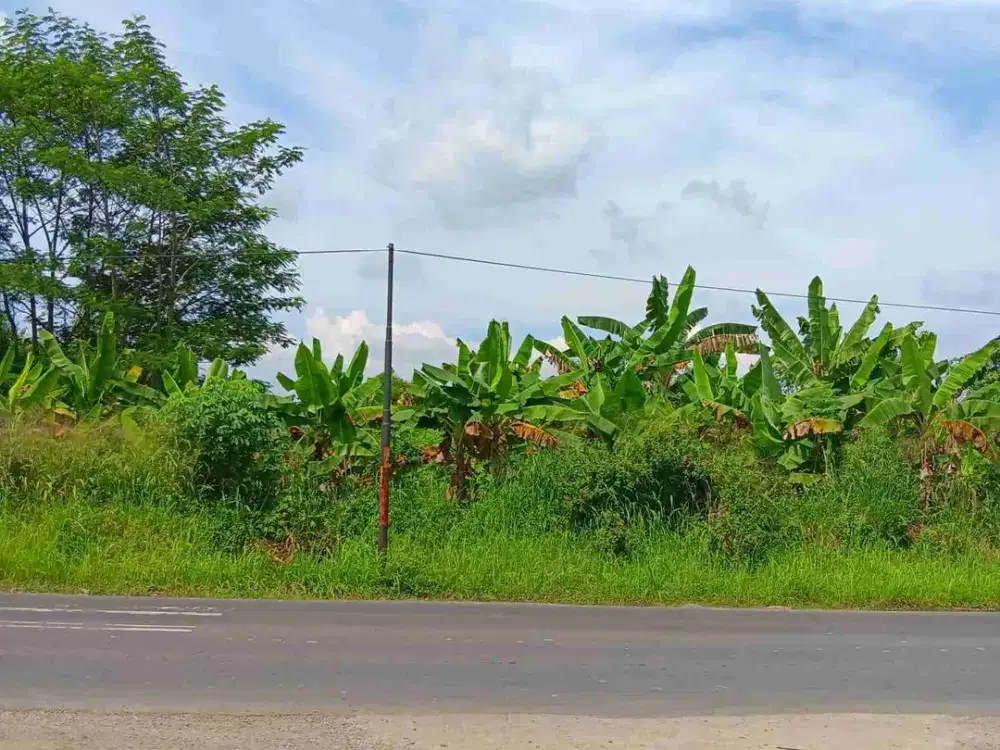 Dijual Melalui lelang tanah darat Cocok Untuk Pabrik atau Pergudangan idustri