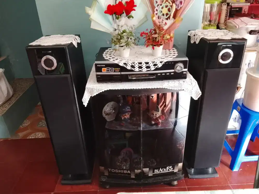 Home Theater Polytron