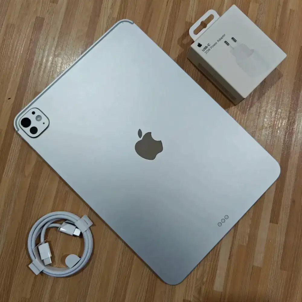 iPad Pro M5 256 WiFi 11 Inch Inter Unit Only