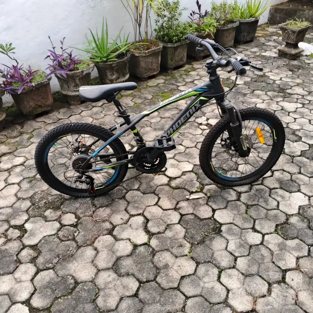 Dijual Cepat Sepeda Phoenix