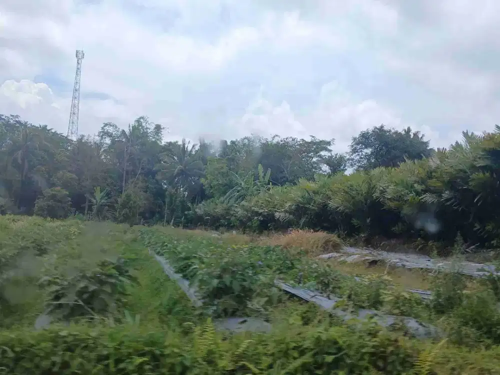 Tanah SHMS pinggir jln di Pakem Sleman view Merapi