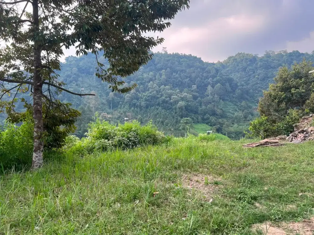 Tanah Luas 600m2 Kawasan Wisata Tawangmangu, Karanganyar