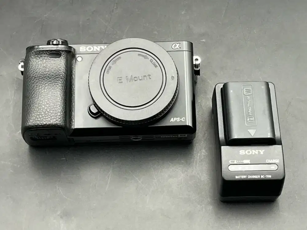 Kamera Sony Alpha A6000