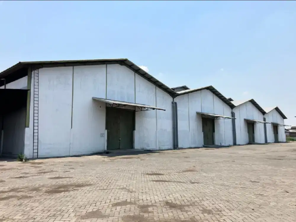 Gudang Bagus Siap Pakai Jl Kaligawe Semarang
