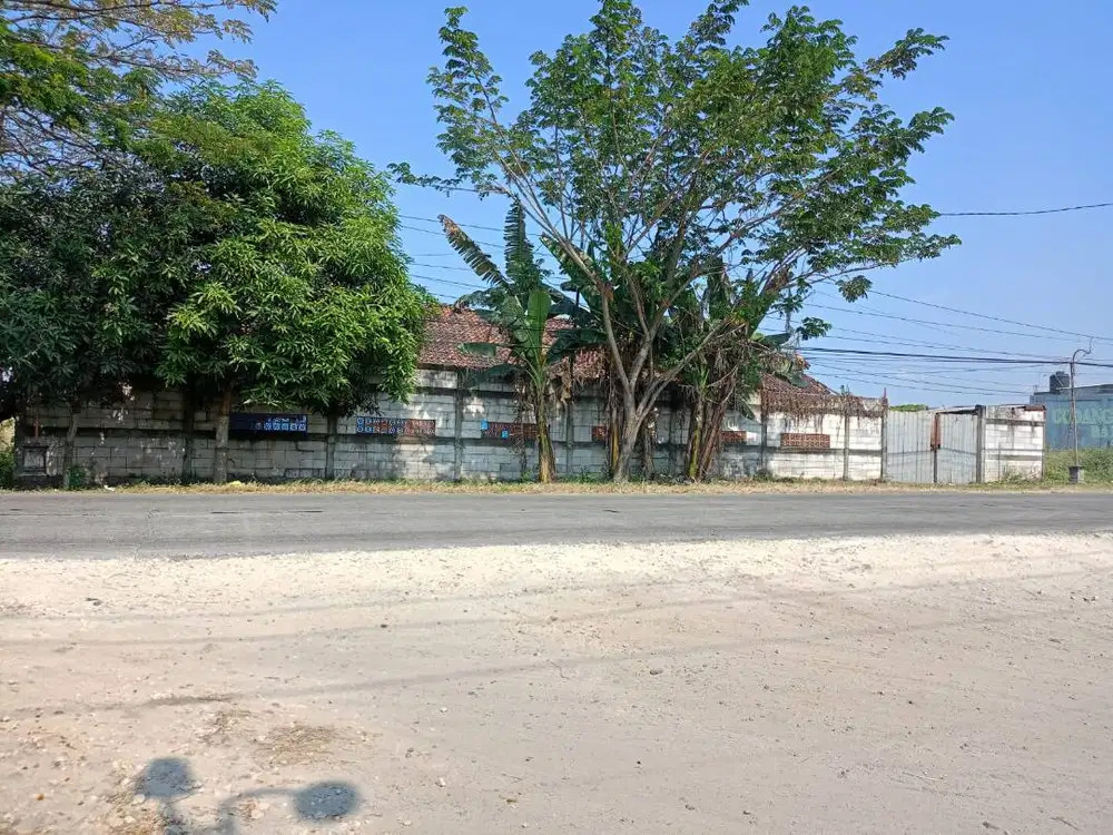 Dijual Tanah di Desa Merak, Dempet, Demak