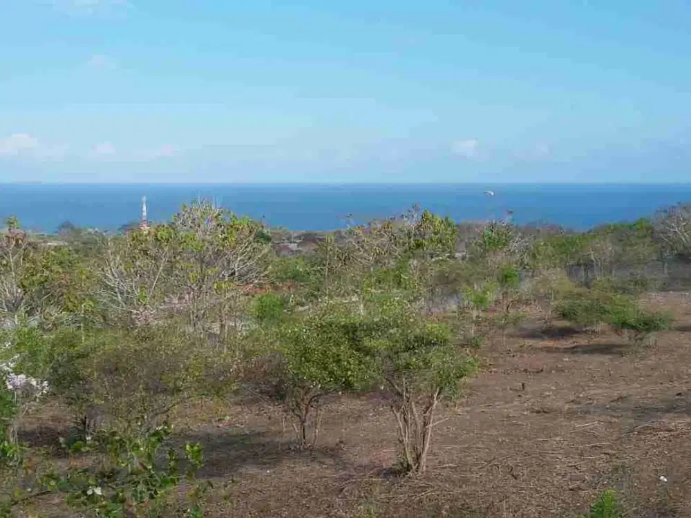Tanah premium unblock ocean view 5250 m2 by Pass Nusa2 IDR 12jt/m2