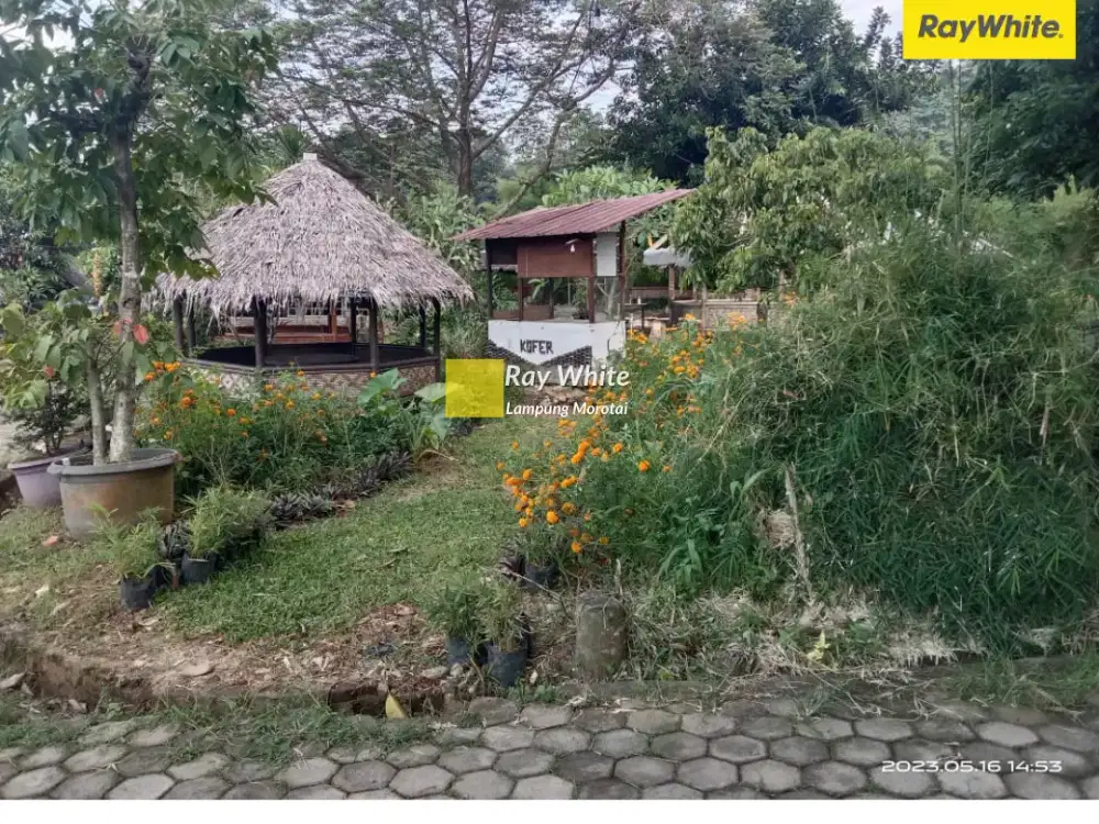 Dijual Tanah di JL. Imam Bonjol, Langkapura, Bandar Lampung (KOde ALF-ZA 3579)