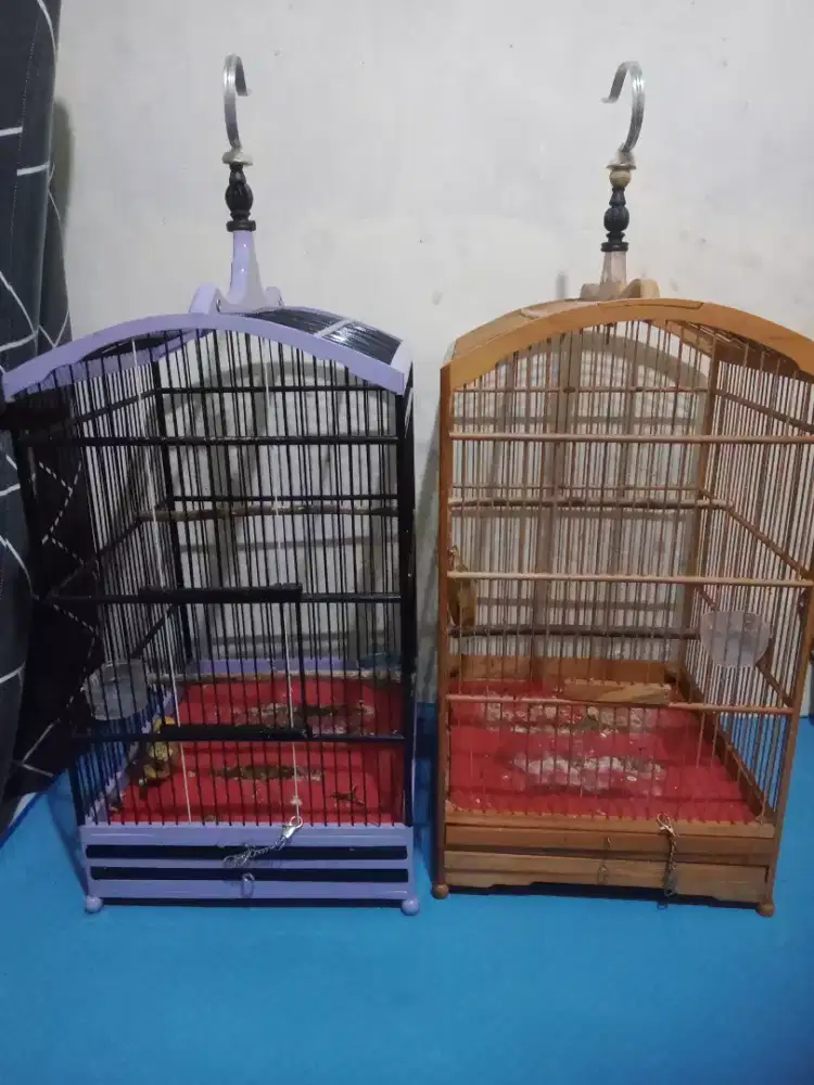 Jual borongan 2 kandang no 2 masih gres