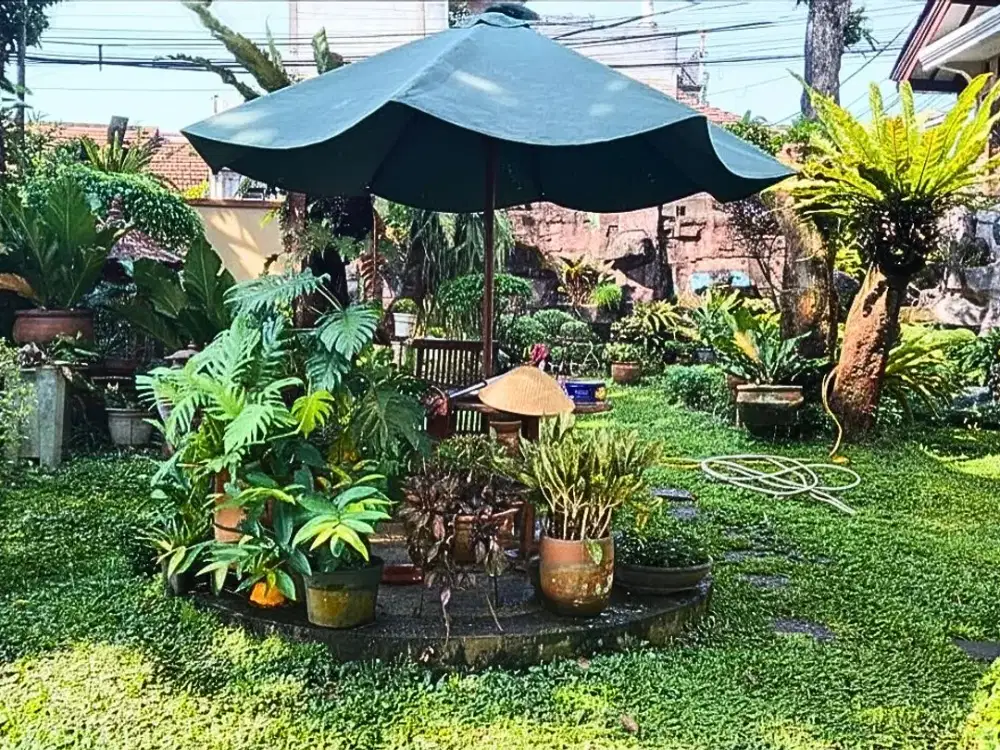 Rumah Megah 2 Lantai Halaman Luas & Asri Lokasi Jagakarsa, Jaksel - SHM