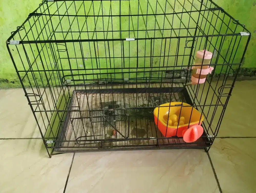 Bekas Kandang Kelinci