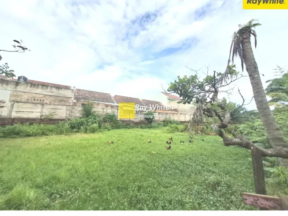 DIjual Tanah Bonus Bangunan di JL. Ratu Diabalau, Tanjung Senang, Bandar Lampung (Kode : MEL-Alf 3580)