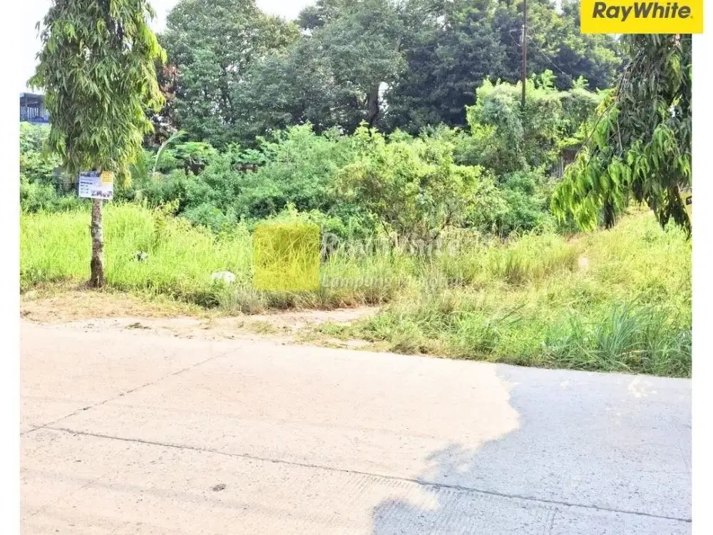 Dijual Tanah DI Jati Agung, LAmpung Selatan (Kode : ALF - MEL 3581)